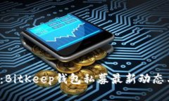 2025必看：BitKeep钱包私募最