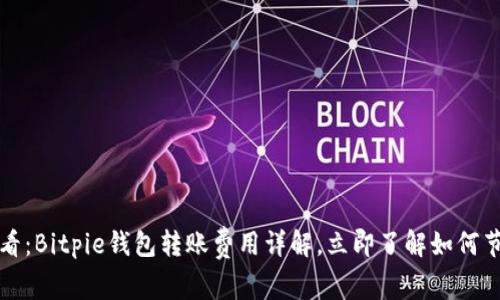 2025必看：Bitpie钱包转账费用详解，立即了解如何节省费用！