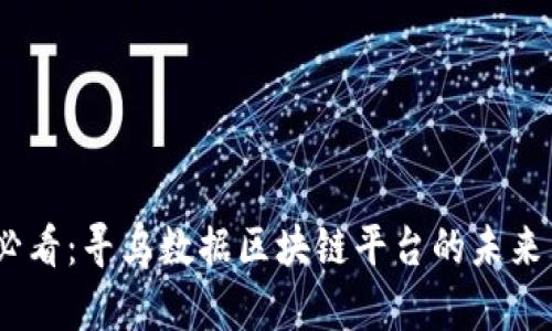 2025必看：寻乌数据区块链平台的未来与机遇