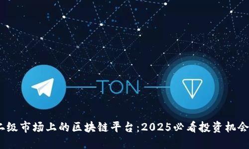 二级市场上的区块链平台：2025必看投资机会 