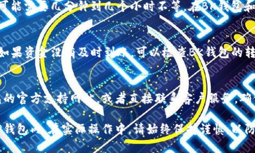 要将BK钱包中的资金转移到TP钱包，您需要遵循一定的步骤。以下是一个详细的指南，帮助您顺利完成转账过程。

步骤一：准备工作
在进行任何转账之前，确保您已正确设置并激活您的BK钱包和TP钱包。您需要确保两者都可以正常访问，且您已在TP钱包中创建了相关的接收地址。

步骤二：获取TP钱包地址
在TP钱包中，找到并点击“接收”或“我的资产”选项。此时系统会提示您查看您的钱包地址。复制这个地址，随后将用于从BK钱包转账。

步骤三：打开BK钱包并选择转账功能
登录BK钱包账号后，选择“转账”或“发送”功能。这通常在主界面的操作菜单中可以找到。确保您已经选择了您想要转账的资产类型，例如USDT、ETH等。

步骤四：输入TP钱包地址
在转账界面中，把刚才复制的TP钱包地址粘贴到接收地址的输入框中。请务必仔细检查，确保地址输入无误，因为区块链服务一旦通过就无法逆转。

步骤五：确认转账金额
输入您希望转账的金额。在这一部分，您可能会看到交易费用的预估，确保您的余额足够支付费用，此外，确保您的交易金额包含足够的手续费以顺利完成转账。

步骤六：检查并确认
在提交转账之前仔细检查所有信息，包括接收地址、转账金额和交易费用等。如果一切都正确无误，则可以确认操作，并提交转账请求。

步骤七：等待转账确认
提交转账后，请耐心等待。根据网络的繁忙程度，资金的转移可能需要几分钟到几个小时不等。在BK钱包和TP钱包的历史记录中，您通常可以查看转账的状态。

步骤八：检查TP钱包余额
在转账完成后，您可以返回TP钱包，查看您的资产是否到账。如果资金没有及时到账，可以检查BK钱包的转账历史，确认转账是否成功。

额外提示
如果您对转账过程有任何疑问，建议您访问BK钱包和TP钱包的官方支持网站，或者直接联系客户服务。确保您使用的版本是最新的，避免由于版本差异而导致的问题。

通过以上步骤，您应该能够顺利将BK钱包中的资金转移到TP钱包内。在实际操作中，请始终保持谨慎，以防止错误操作带来的损失。希望这个指南对您有所帮助！