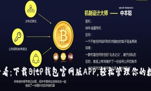 2025必看：下载BitP钱包官网版APP，轻松管理你的数字资产
