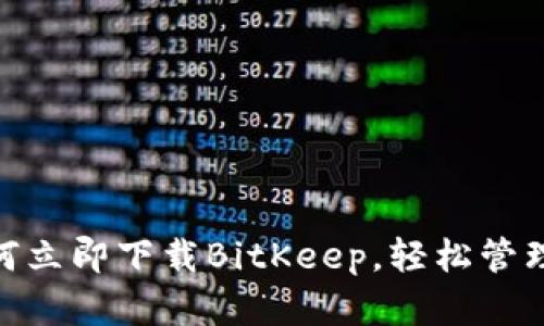 2025必看：如何立即下载BitKeep，轻松管理您的数字资产
