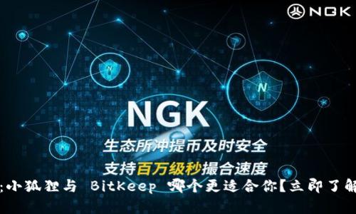 2025必看：小狐狸与 BitKeep 哪个更适合你？立即了解最新对比！