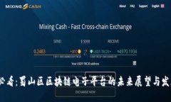 2025必看：蜀山区区块链电子平台的未来展望与发