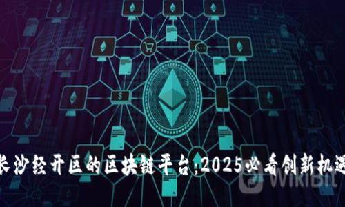 长沙经开区的区块链平台：2025必看创新机遇