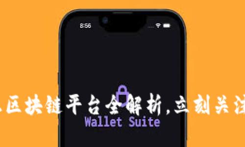 2025必看：华正区块链平台全解析，立刻关注未来科技趋势！