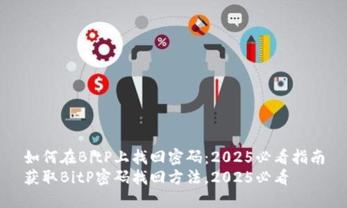 如何在BitP上找回密码：2025必看指南
获取BitP密码找回方法，2025必看