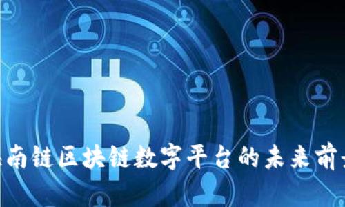 2025必看：海南链区块链数字平台的未来前景与投资机会