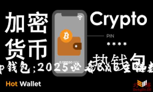 立即了解BitKeep钱包：2025必看BnB主链数字资产管理神器