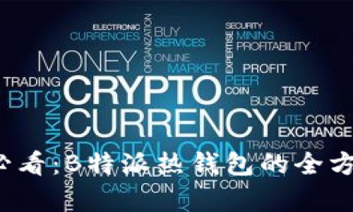 立即了解2025年必看：B特派热钱包的全方位解析与使用技巧