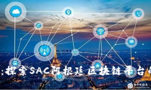 2025必看：探索SAC阿根廷区块链平台的无限可能