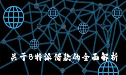 关于B特派借款的全面解析