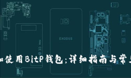 如何下载和使用BitP钱包：详细指南与常见问题解答
