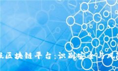 如何判断真假区块链平台：识别安全与风险的全