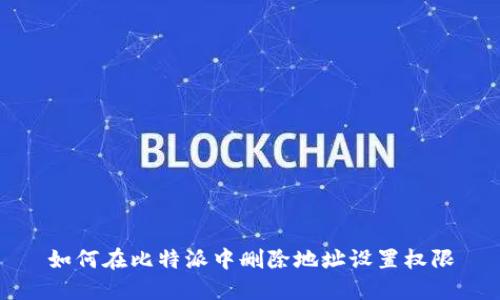 如何在比特派中删除地址设置权限