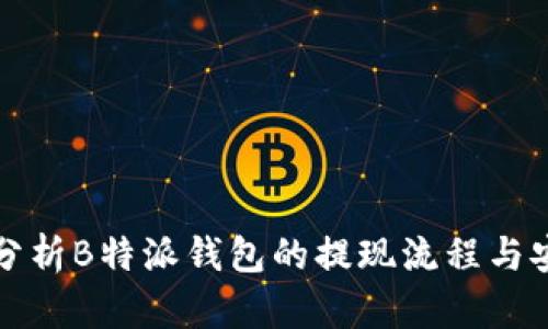 深入分析B特派钱包的提现流程与安全性