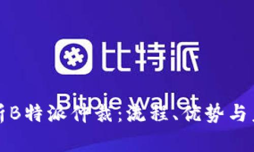 深入解析B特派仲裁：流程、优势与未来发展