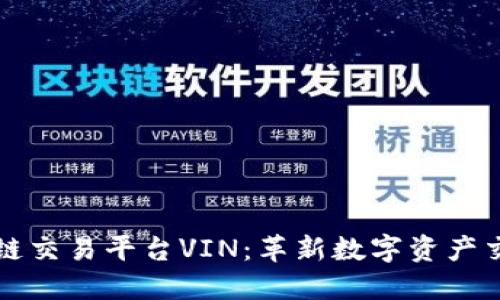 新加坡区块链交易平台VIN：革新数字资产交易的新选择
