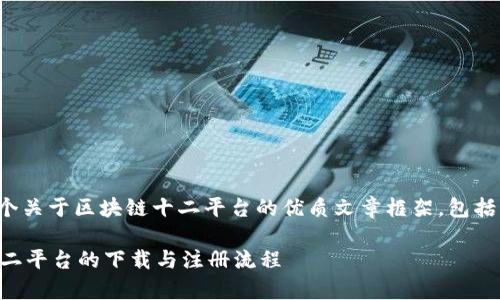 当然可以！以下是一个关于区块链十二平台的优质文章框架，包括、关键词及详细内容。

 全面解析区块链十二平台的下载与注册流程