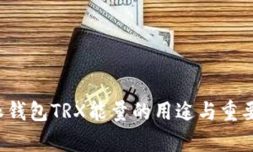  比特派钱包TRX能量的用途与重要性分析