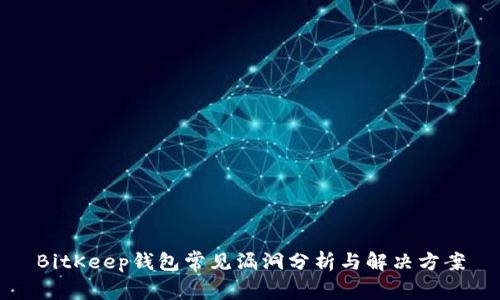 BitKeep钱包常见漏洞分析与解决方案