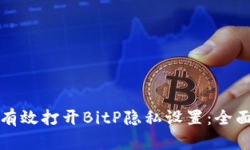 如何有效打开BitP隐私设置：全面指南
