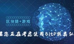 BitP的安全性分析：您需要