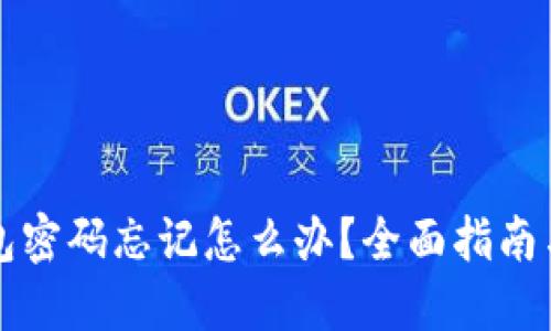 比特派钱包密码忘记怎么办？全面指南与解决方案