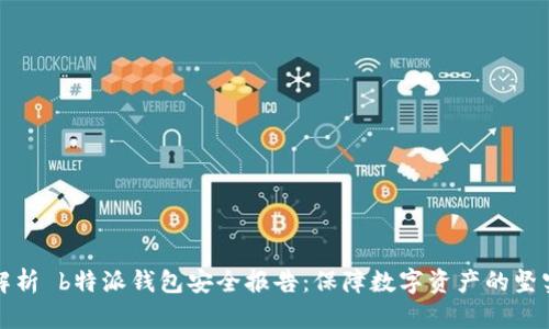 深入解析 b特派钱包安全报告：保障数字资产的坚实防线