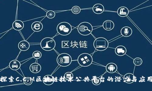 探索C.C.M区块链技术公共平台的潜力与应用