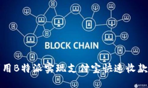 如何利用B特派实现支付宝快速收款和管理