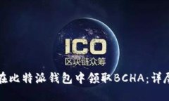 如何在比特派钱包中领取BCHA：详尽指南