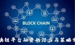   区块链平台融资的潜力与