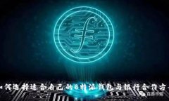 如何选择适合自己的B特派