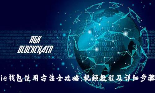 Bitpie钱包使用方法全攻略：视频教程及详细步骤解析