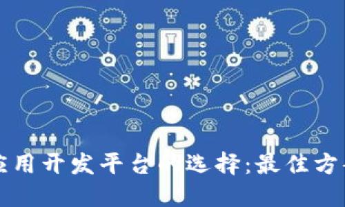 区块链应用开发平台的选择：最佳方案与建议