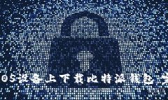 如何在iOS设备上下载比特