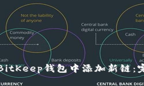如何在BitKeep钱包中添加新链：完整指南