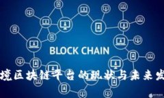 国家跨境区块链平台的现状与未来发展分析