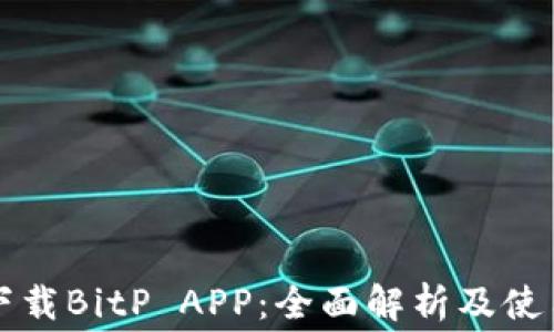 
免费下载BitP APP：全面解析及使用指南