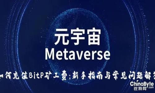 如何充值BitP矿工费：新手指南与常见问题解答