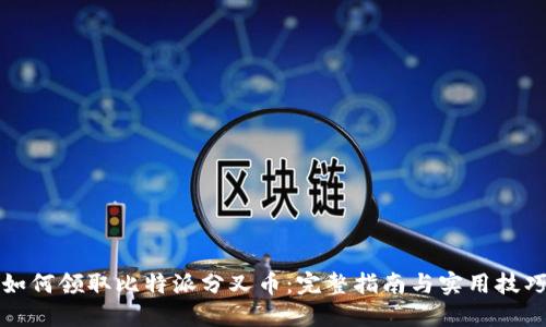 如何领取比特派分叉币：完整指南与实用技巧