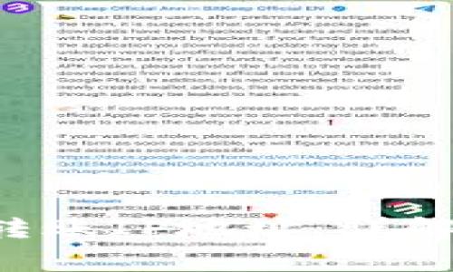 如何查询B特派转账IP地址：详解方法与常见问题