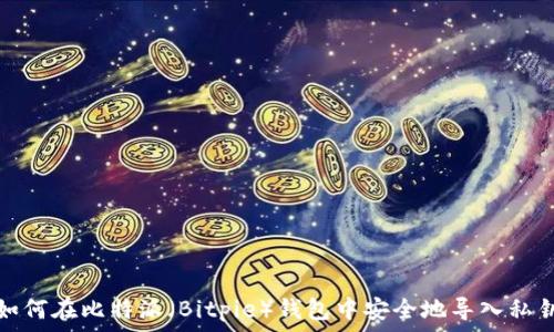   
如何在比特派（Bitpie）钱包中安全地导入私钥