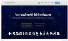 如何处理B特派钱包币丢失