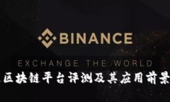 大通区块链平台评测及其应用前景分析