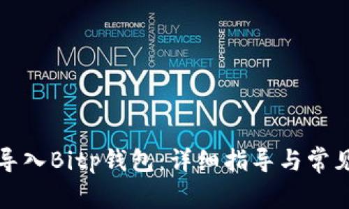 如何正确导入Bitp钱包：详细指导与常见问题解答