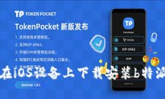 如何在iOS设备上下载安装