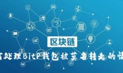 如何处理BitP钱包被莫名转